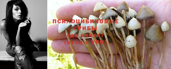 ГАЛЛЮЦИНОГЕННЫЕ ГРИБЫ Арсеньев