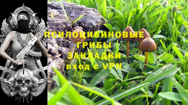 альфа пвп Армянск