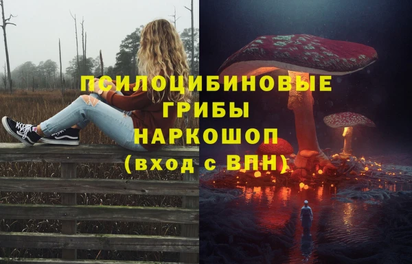 метадон Аркадак