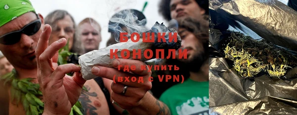 ГАЛЛЮЦИНОГЕННЫЕ ГРИБЫ Арсеньев